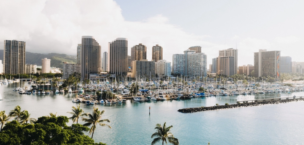 Web Design Companies in San Diego, CA