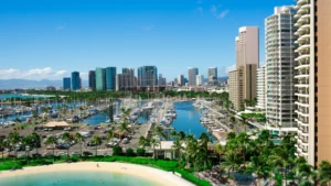 Top 10 Web Design Companies in Miami, FL 